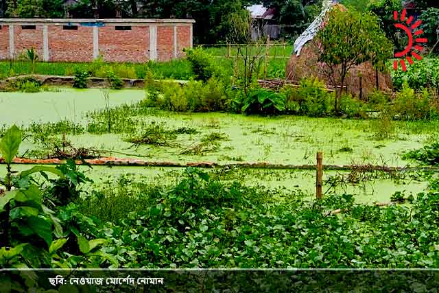 সম্পত্তি দখলের অভিযোগ