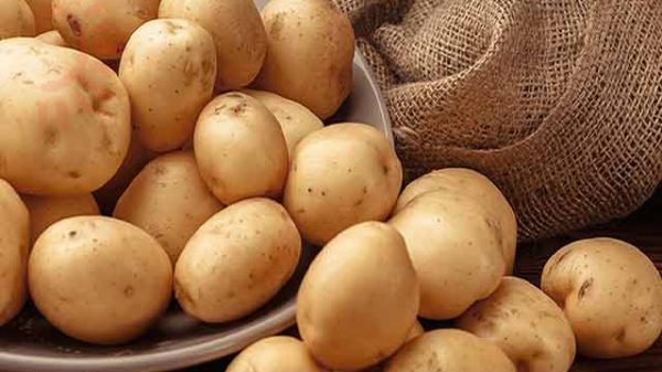 আলুর জাদু