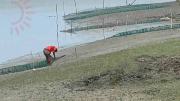 ভয়াবহতা