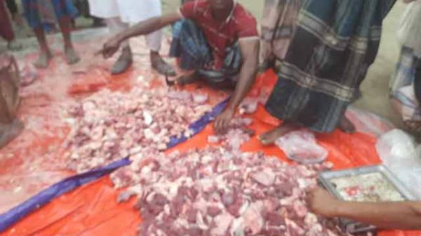 অসুস্থ গরু