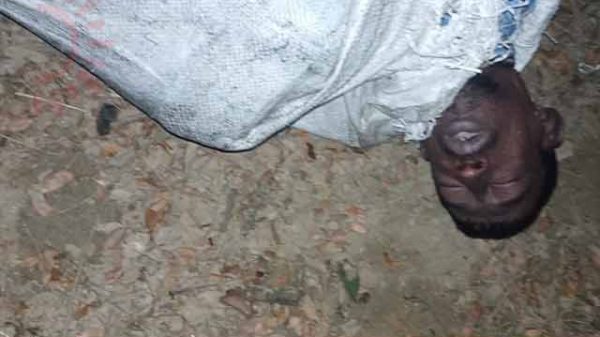 ইজিবাইক ছিনতাই