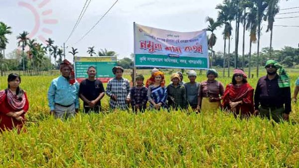 নমুনা শস্য কর্তন কর্মসূচির