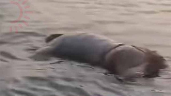 লাশ উদ্ধার