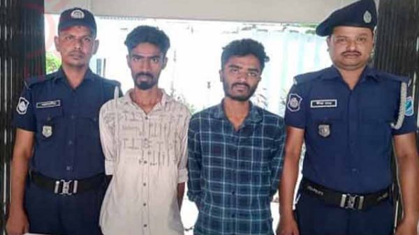 রাজবাড়ী পাংশা