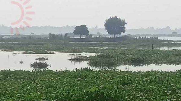 জীবন-জীবিকায় স্থবিরতা