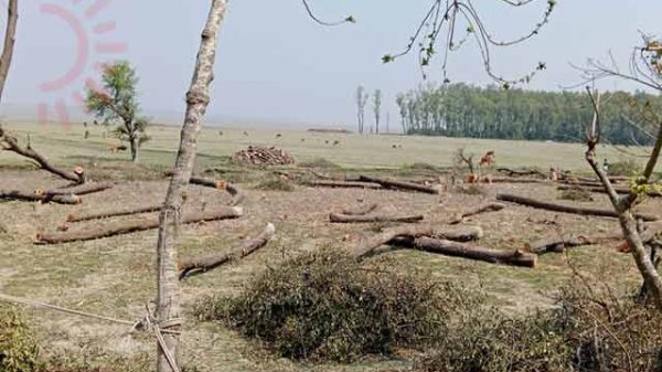 সংরক্ষিত বনাঞ্চল