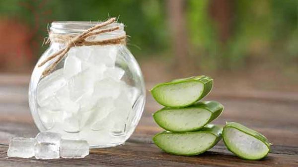 অ্যালোভেরা