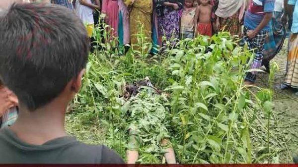 অজ্ঞাত নারীর মরদেহ উদ্ধার