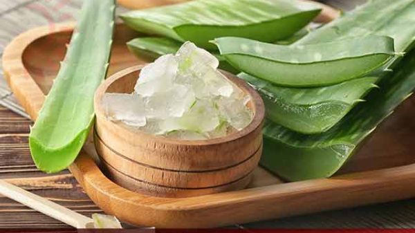 অ্যালোভেরা