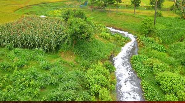 ভদ্রাবতী, ভদ্রা ও ভাদাই