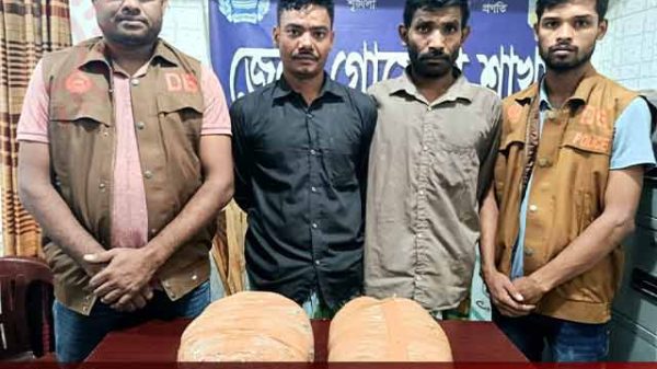 মাদক ব্যবসায়ী গ্রেফতার