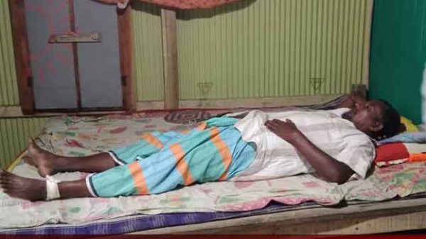 একটি বাড়ি একটি খামার