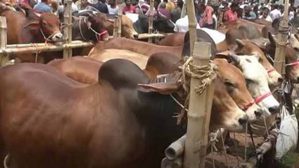 গরুরহাট