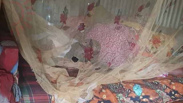 লাশ উদ্ধার