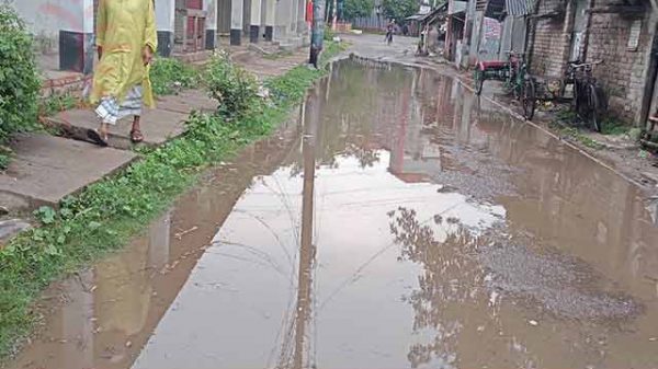 যানবাহন ও পথচারী