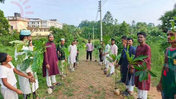 কুবি শাখা ছাত্রশিবিরের বৃক্ষরোপণ কর্মসূচি