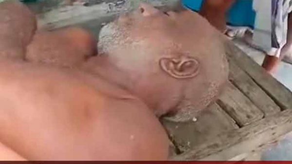 গাছ থেকে পড়ে মৃত্যু