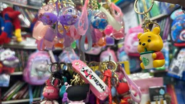 চার্ম দিয়ে ব্যাগ নয়