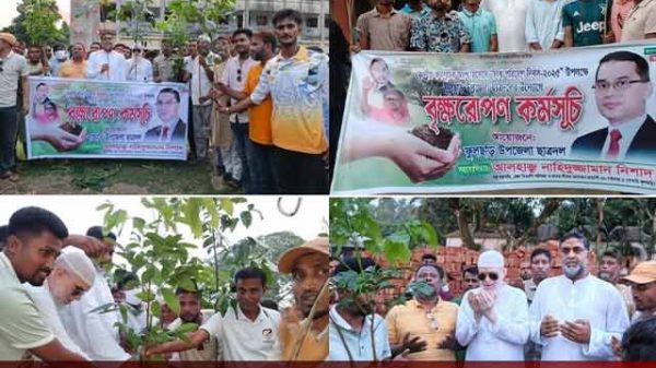 গাইবান্ধায় বৃক্ষরোপণ কর্মসূচি