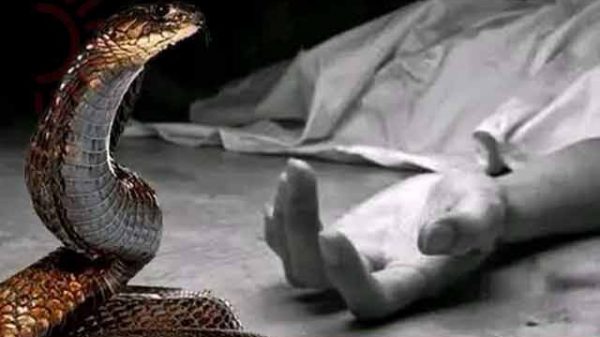 অ্যান্টিভেনম না থাকায় সাঈদের মৃত্যু