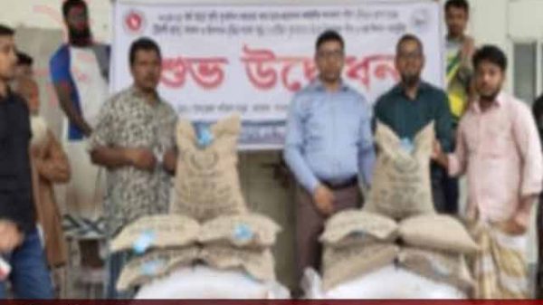 তানোরে বিনামূল্যে সার বীজ বিতরণ