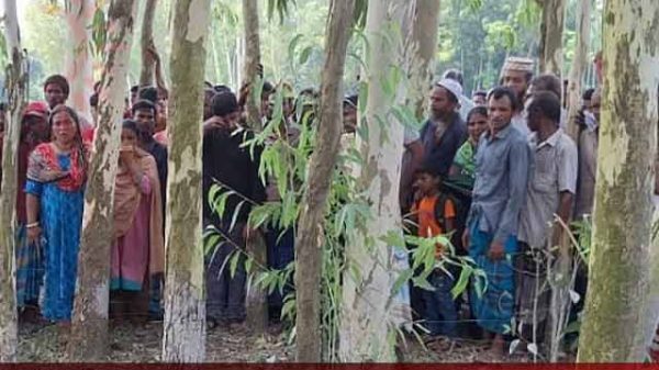 গাইবান্ধার গোবিন্দগঞ্জ