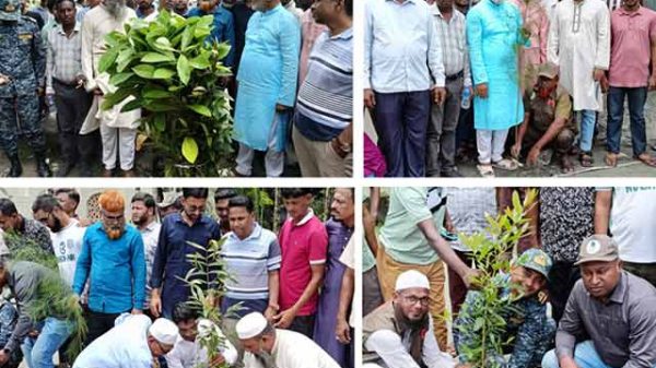 ভোলার মনপুরায়