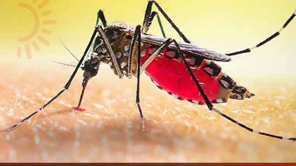 ডেঙ্গু আক্রান্ত হয়ে হাসপাতালে ভর্তি