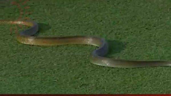 বাংলাদেশের ব্যাটিং