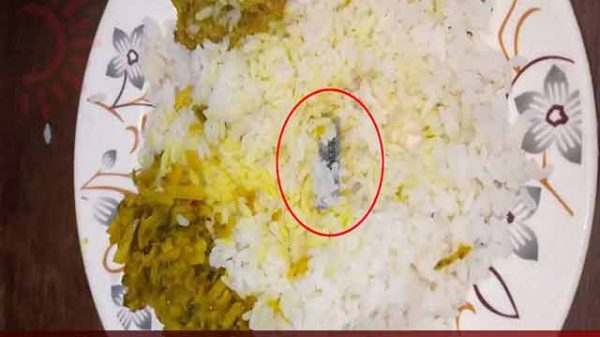 এবার নোবিপ্রবির ছাত্র হলের খাবারে মিলল ব্লেড