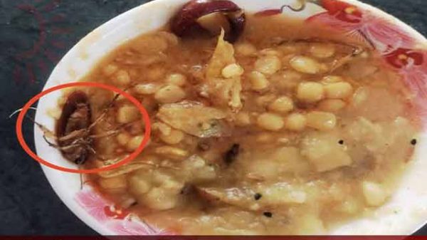 ক্যাফেটেরিয়ার খাবারে তেলাপোকা!