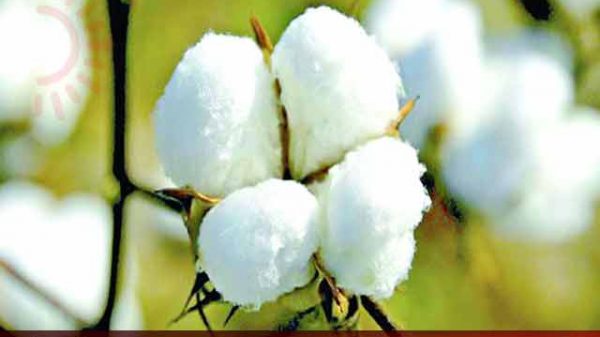 অগ্রিম কর প্রত্যাহার চান ব্যবসায়ীরা
