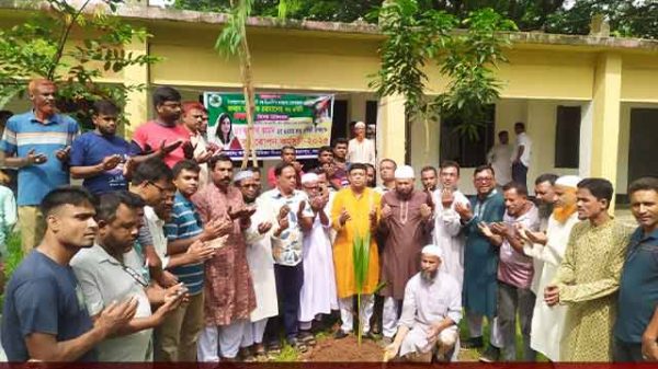 শাজাহানপুরে বিএনপির বৃক্ষরোপণ কর্মসূচি