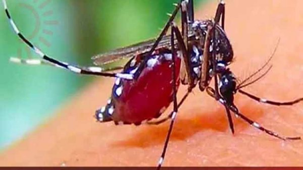 ৯ দিনে ডেঙ্গুতে মৃত্যু ১০, আক্রান্ত ৩২৯৮