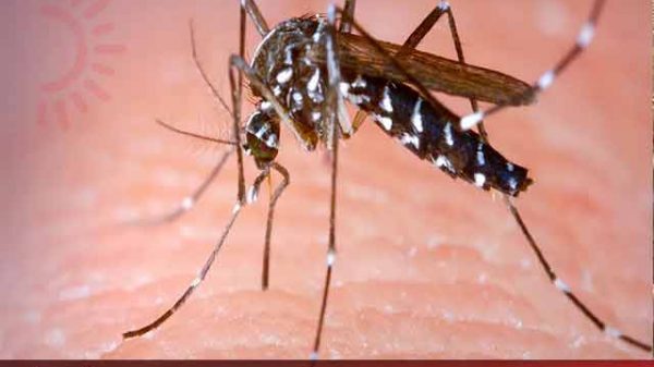 ২৪ ঘণ্টায় আরও ১ মৃত্যু, হাসপাতালে ৩৯১