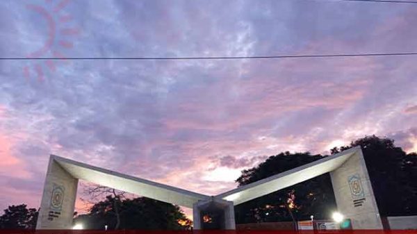 শহিদ সাইদ দিবস