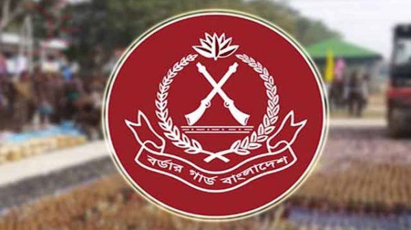 বিজিবিতে সরকারি চাকরি
