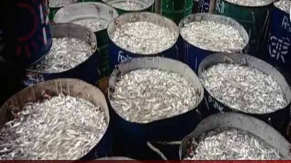 মহালছড়ি মৎস্য অবতরণ কেন্দ্রে ফিরেছে কর্মচাঞ্চল্য