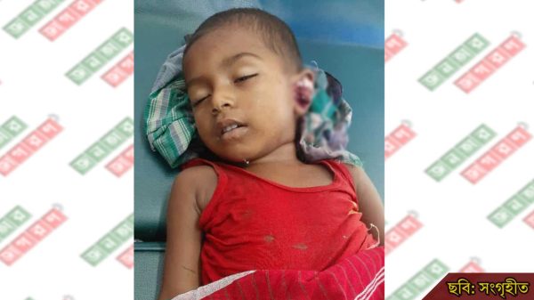 নাচোলে ট্রেনের ধাক্কায় দুই বছরের শিশু নিহত