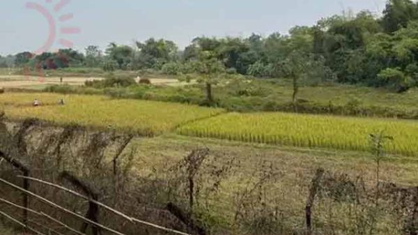 বিএসএফের গুলি
