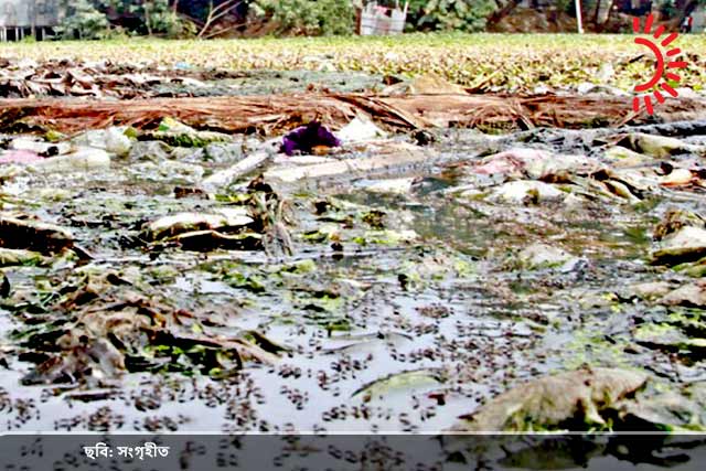 মশা নিধন অভিযান