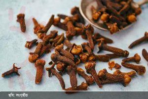 খালি পেটে লবঙ্গ খাওয়ার স্বাস্থ্য উপকারিতা: কোষ্ঠকাঠিন্য, মাথাব্যথা, হাড় মজবুতকরণ ও শীতকালীন সর্দি থেকে মুক্তি