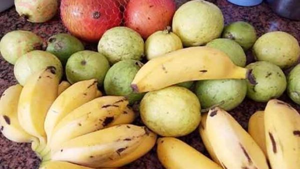 প্রোটিনসমৃদ্ধ ফল