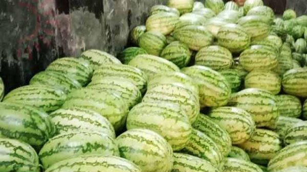 তরমুজ কিনতে
