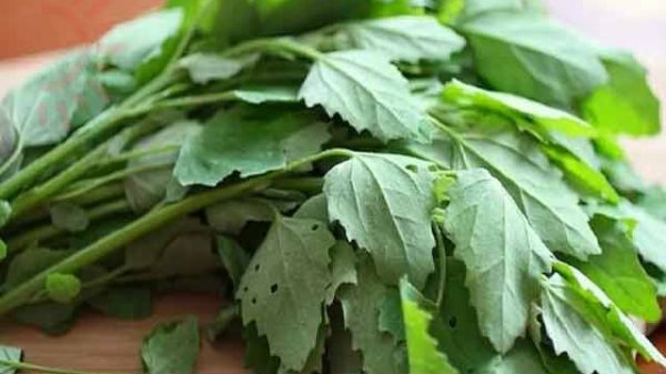 বথুয়া শাক