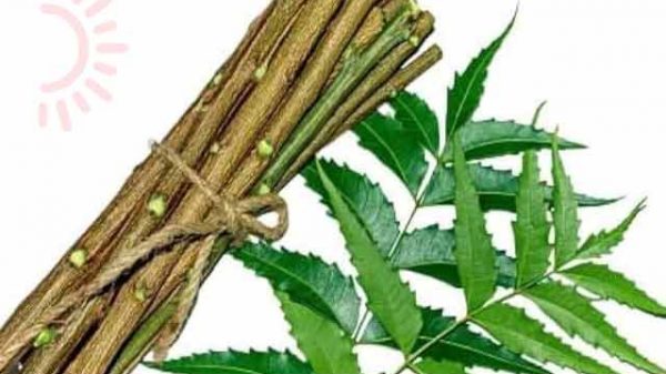 নিমের কাঠি