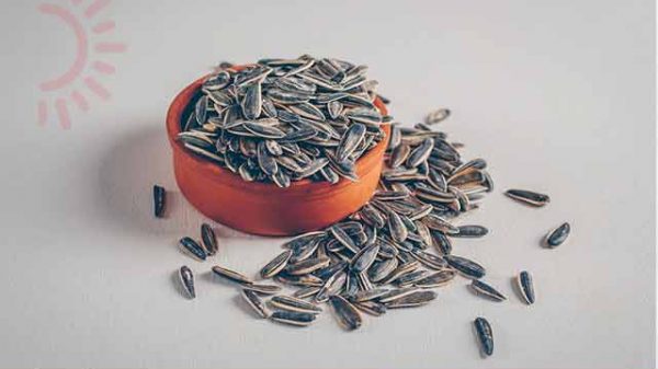 প্রোটিনবহুল বীজ