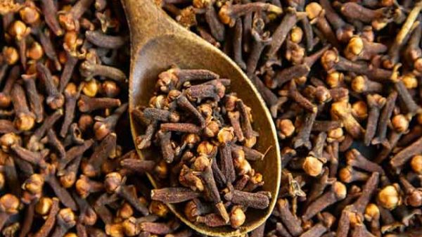 লবঙ্গ পানির