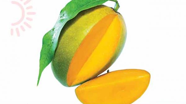 গাছপাকা আম চিনবেন যেভাবে