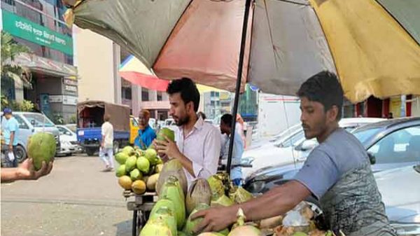 স্বস্তির ডাব